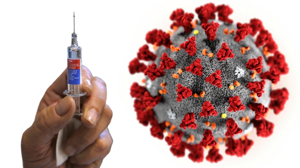 Kan-finnas-vaccin-mot-coronaviruset-i-september